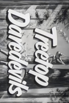 Treetop Daredevils Trailer