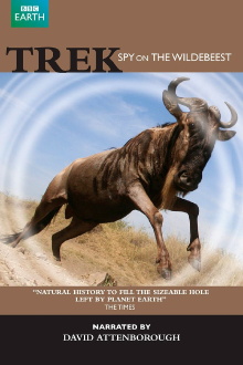 Trek - Spy on the Wildebeest Trailer