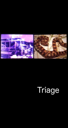 Triage Trailer