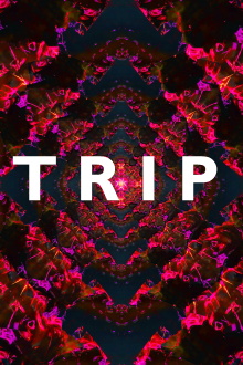 Trip Trailer