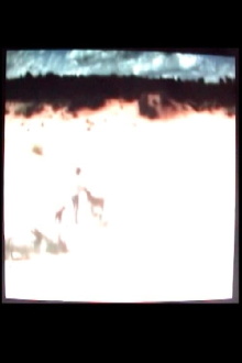 Trip to the Sand Dunes Trailer