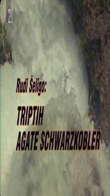 Triptych of Agata Schwarzkobler Trailer