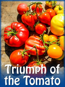 Triumph of the Tomato Trailer