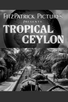 Tropical Ceylon Trailer