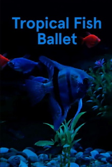 Tropical Fish Ballet Trailer