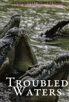 Troubled Waters Trailer