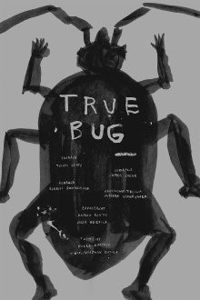 True Bug Trailer
