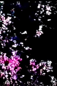 Tryst Haunt Trailer