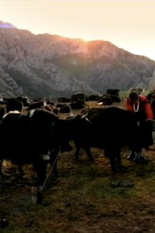Tsampa Trailer