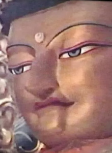 Tshultrim Danba and Tholing Monastery Trailer