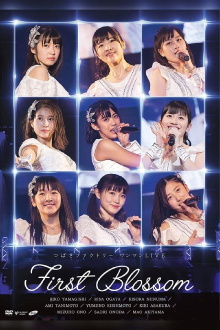 Tsubaki Factory One-Man LIVE ~First Blossom~ Trailer