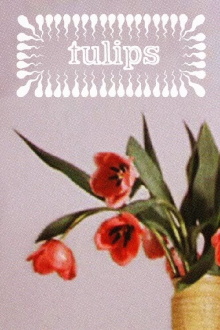 Tulips Trailer