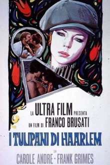 Tulips of Haarlem Trailer