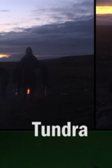 Tundra Trailer