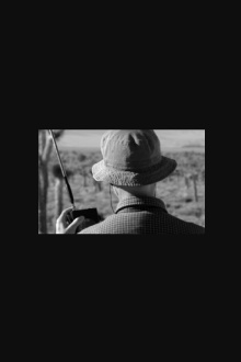 Tuned In Trailer