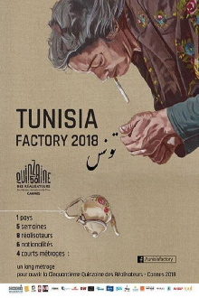 Tunisia Factory Trailer