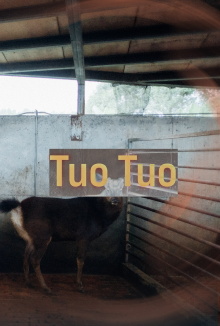 Tuo Tuo Trailer