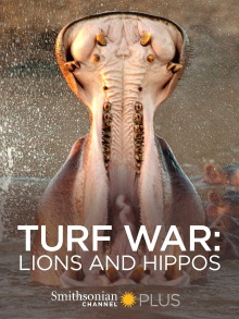 Turf War: Lions and Hippos Trailer