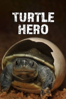 Turtle Hero Trailer