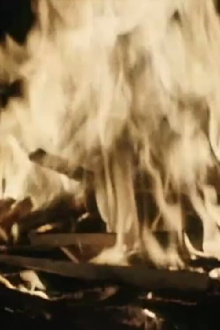 TV as a Fireplace Trailer
