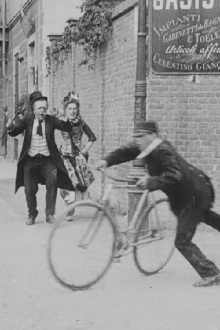 Tweedledum on His First Bicycle Trailer