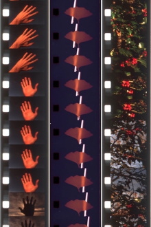 Twelve Seasonal Films Trailer