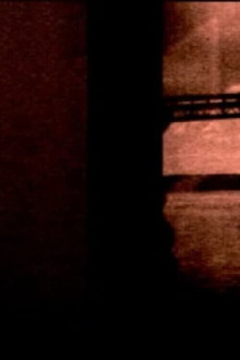 Two Roll Camera Roll Trailer