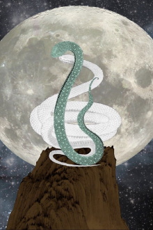 Two Snakes Trailer