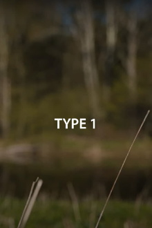 Type 1 Trailer
