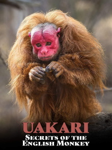 Uakari: Secrets of the English Monkey Trailer