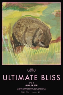 Ultimate Bliss Trailer