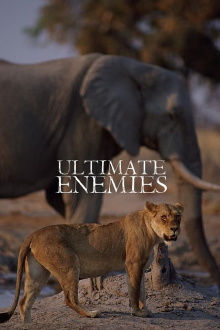 Ultimate Enemies: Revealed Trailer