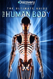 Ultimate Guide: The Human Body Trailer