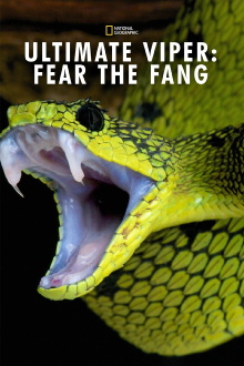Ultimate Viper: Fear the Fang Trailer