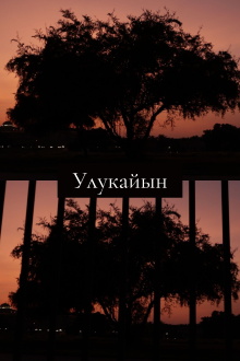 Ulukayın Trailer