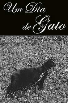 Um Dia de Gato Trailer
