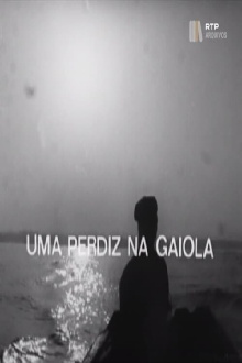Uma Perdiz na Gaiola Trailer