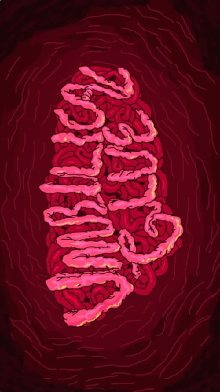 Umbilical Glue Trailer