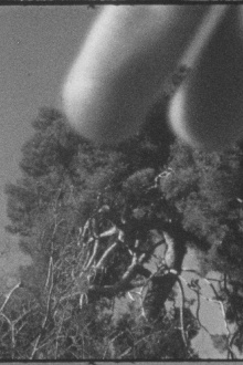 Un árbol y Cézanne o Cézanne y un árbol Trailer