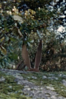 Un chasseur sachant chasser Trailer