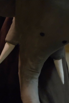 Un éléphant me regarde Trailer