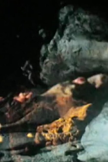 Un Troupeau Se Perd Dans La Forêt Rouge Trailer