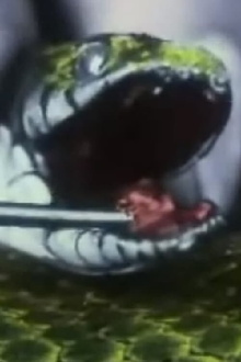 Una serpiente inofensiva. La culebra Trailer