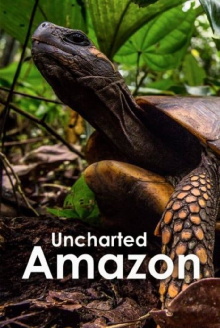 Uncharted Amazon Trailer