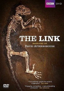 Uncovering Our Earliest Ancestor: The Link Trailer