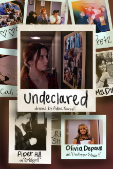 Undeclared Trailer