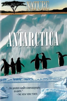 Under Antarctic Ice Trailer