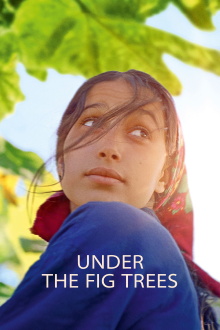 Under the Fig Trees Trailer