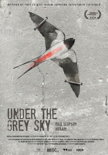 Under the Grey Sky Trailer