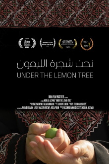 Under the Lemon Tree Trailer